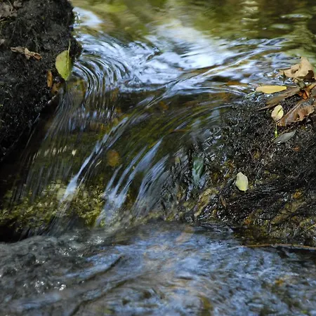 Inatel Entre-os-rios Portela (Porto)